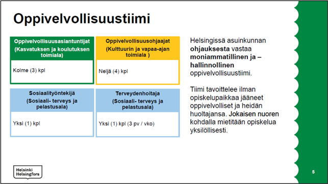 Kuva kuvaa Helsingin kaupungin oppivelvollisuustiimin rakennetta.